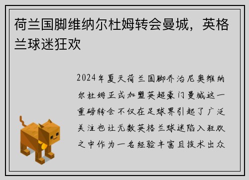 荷兰国脚维纳尔杜姆转会曼城，英格兰球迷狂欢